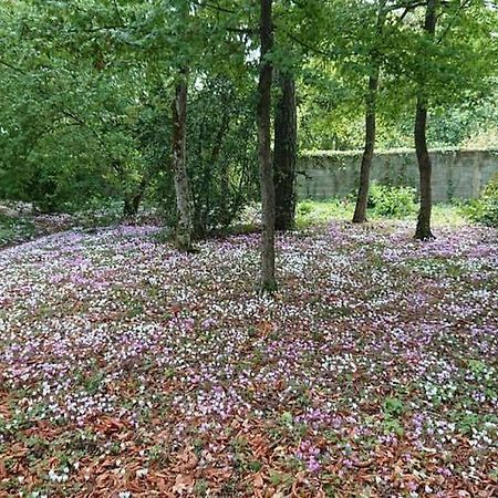 Отель Le Buisson Монлуи-сюр-Луар Экстерьер фото